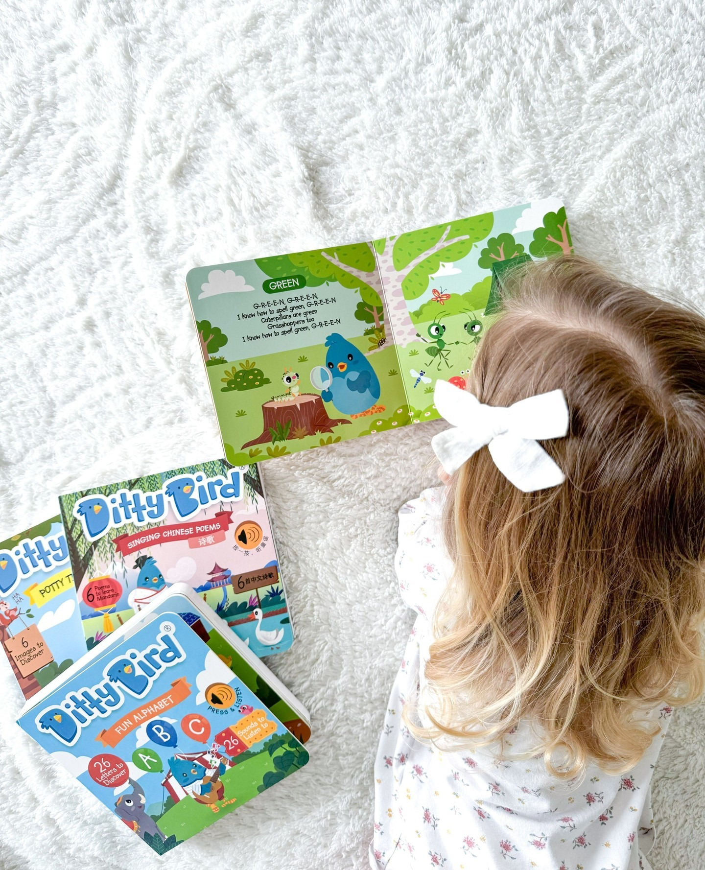 NEW | Color Songs | Ditty Bird Sound Book