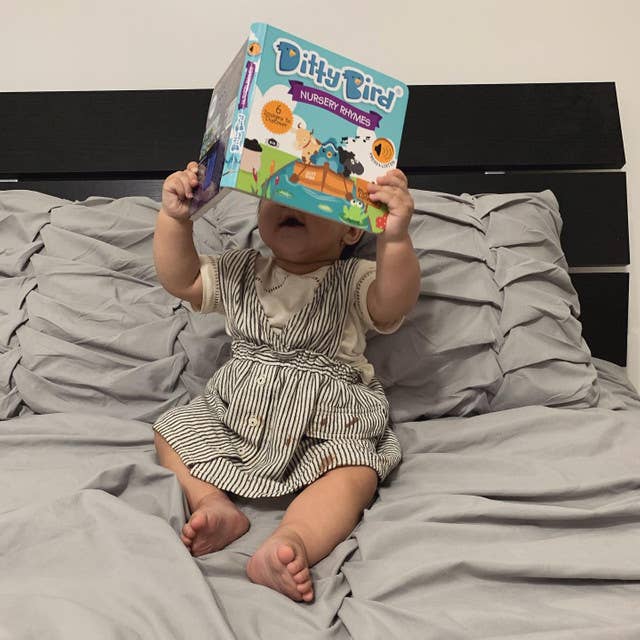 Ditty Bird Sound Book : Nursery Rhymes - BESTSELLER