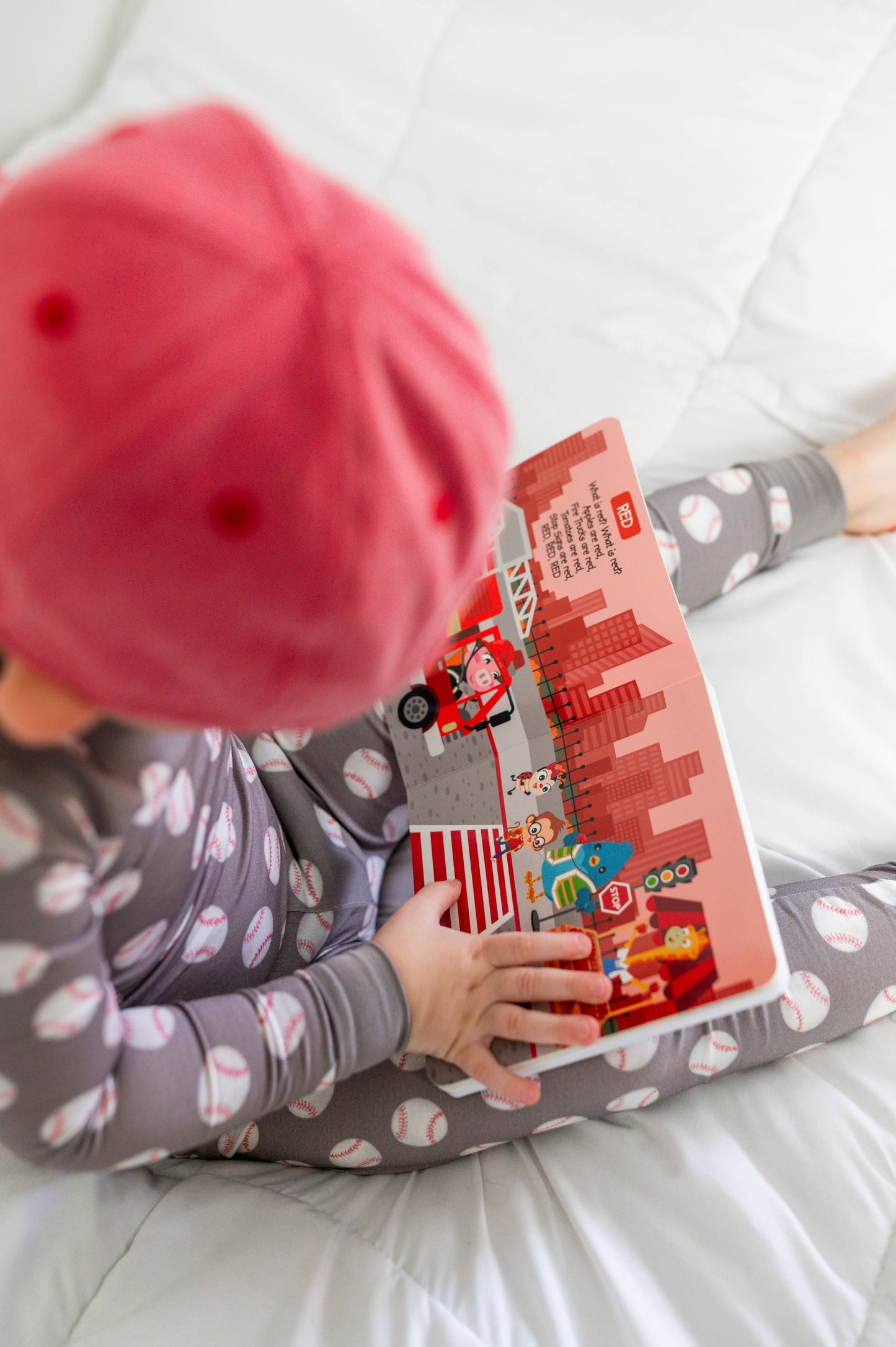 NEW | Color Songs | Ditty Bird Sound Book