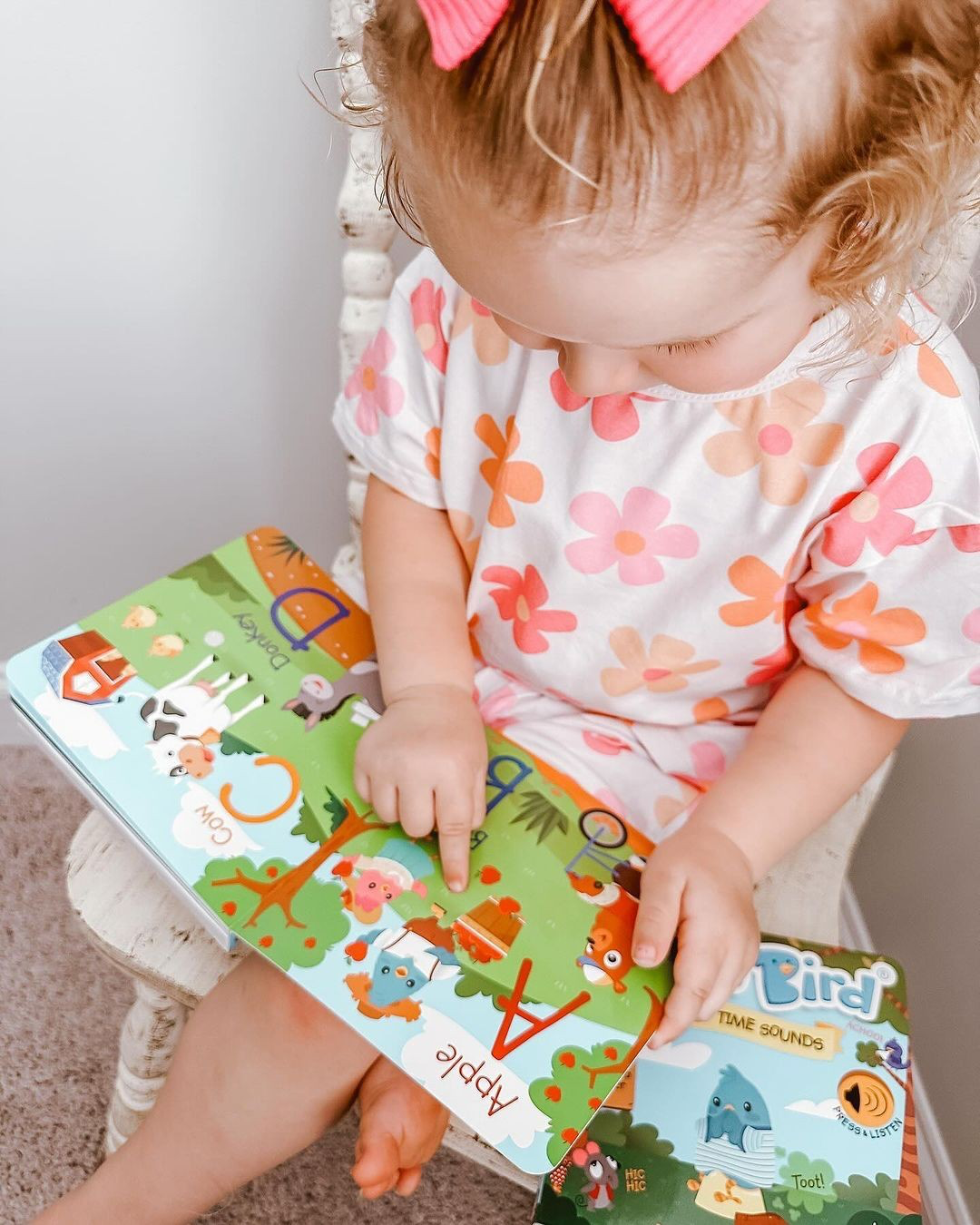 NEW | Fun Alphabet | ABC Song | Ditty Bird Baby Sound Book