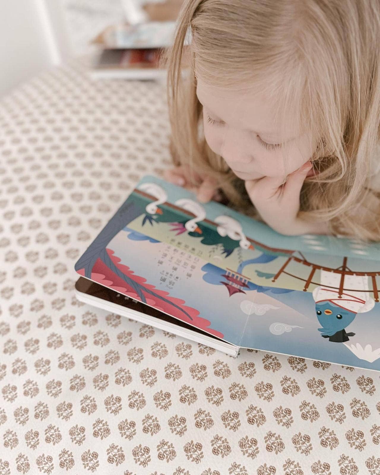 NEW | Bilingual Book | Chinese Poems Ditty Bird