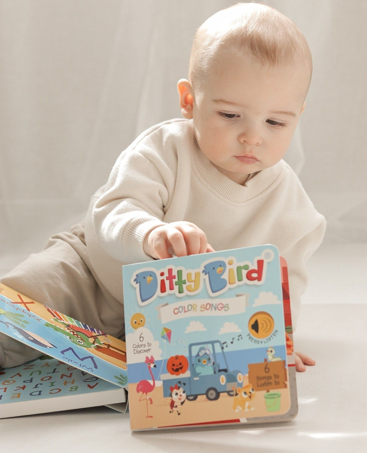 NEW | Color Songs | Ditty Bird Sound Book