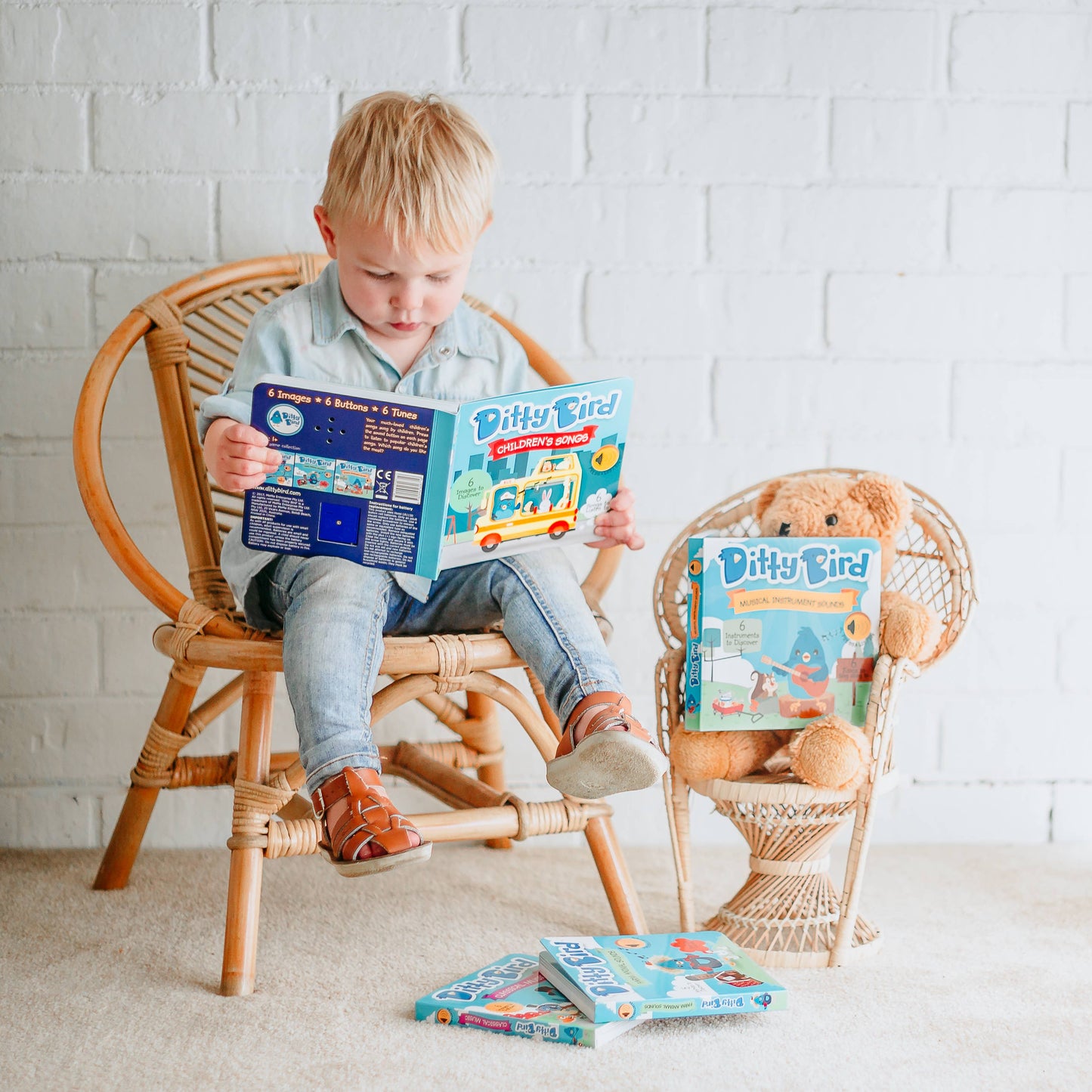 Ditty Bird Sound Book: Children´s Songs-BESTSELLER