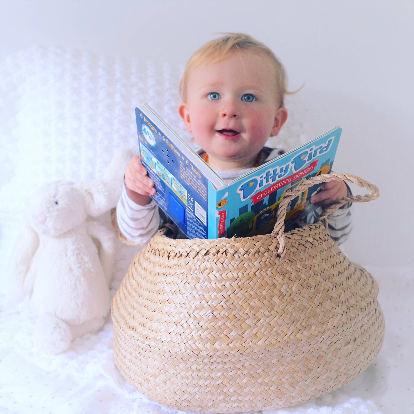 Ditty Bird Sound Book: Children´s Songs-BESTSELLER