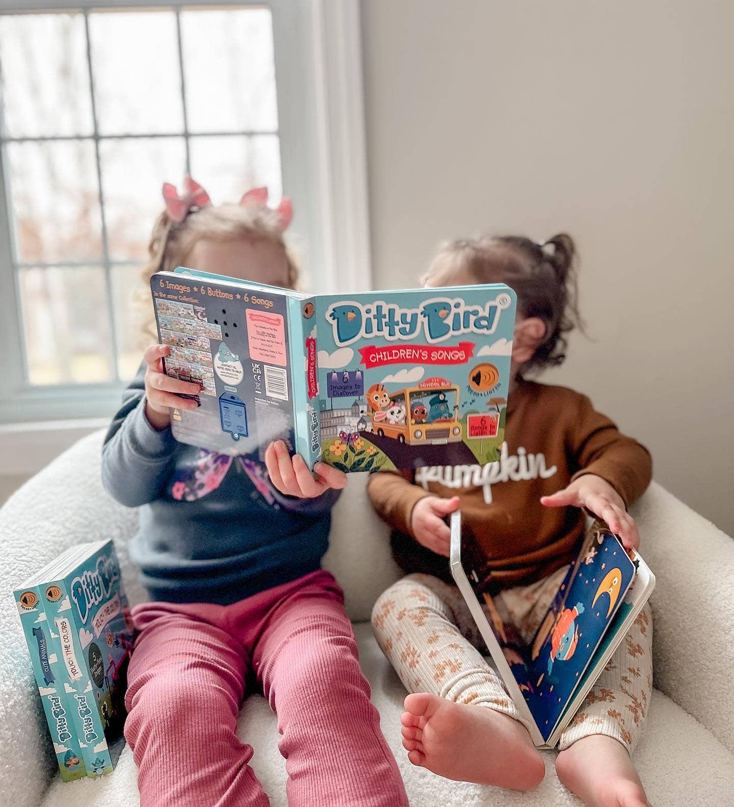 Ditty Bird Sound Book: Children´s Songs-BESTSELLER
