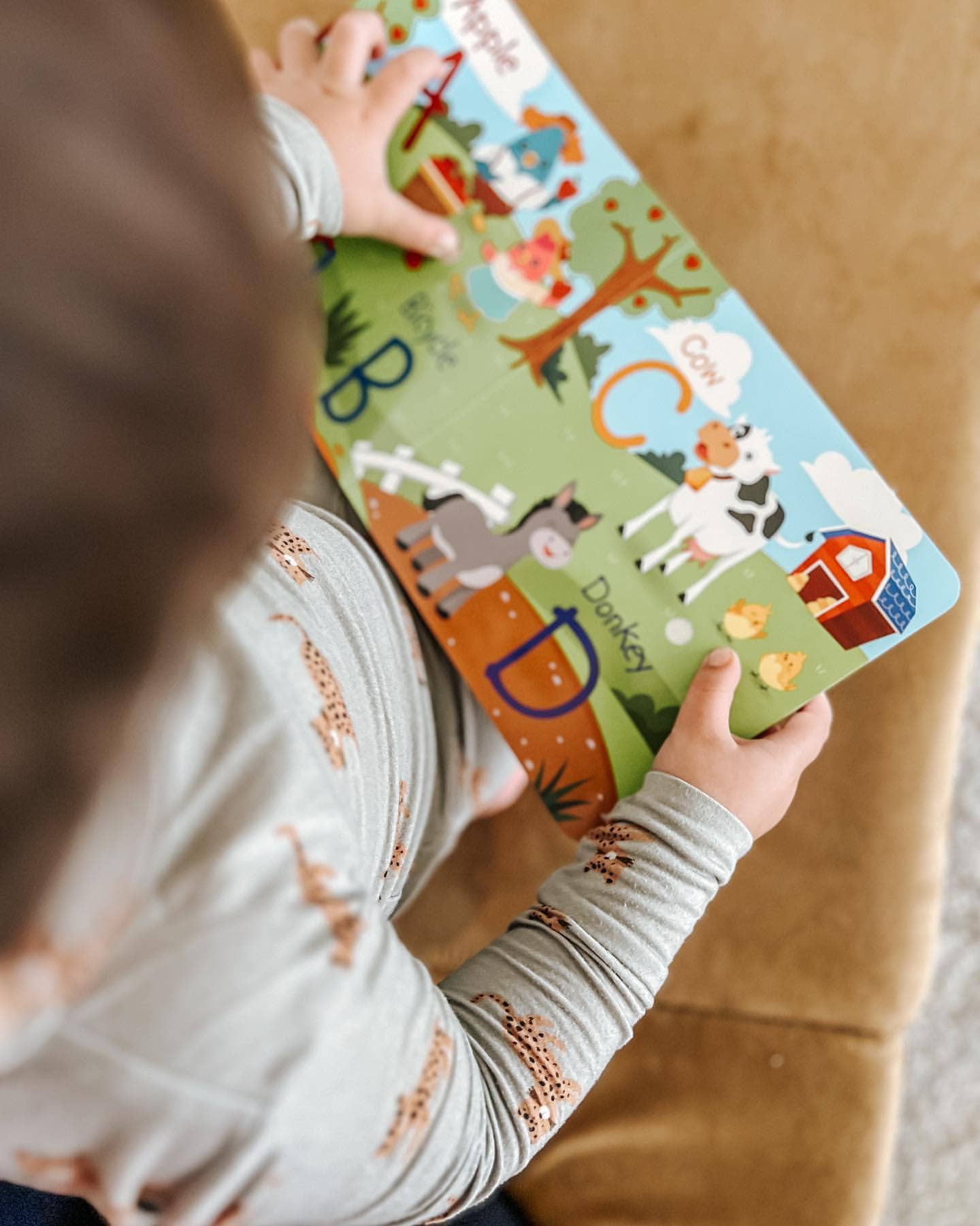 NEW | Fun Alphabet | ABC Song | Ditty Bird Baby Sound Book